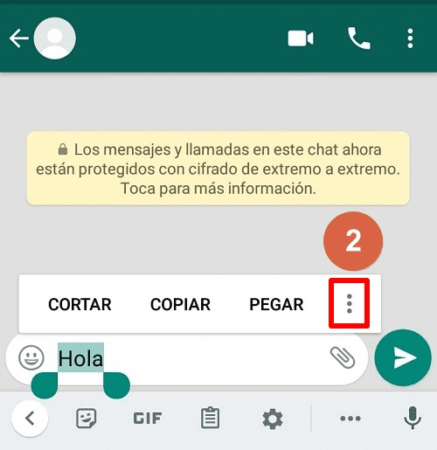 Cómo poder acceder a las opciones de formato en otras versiones WhatsApp paso 2