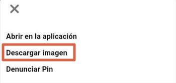 Cómo descargar imágenes de Pinterest dentro de un Pin desde el dispositivo móvil paso 2