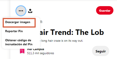Cómo descargar imágenes de Pinterest dentro de un Pin desde el ordenador