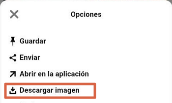 Cómo descargar imágenes de Pinterest en el feed o tablero desde el celular paso 2