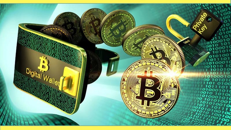 Comprar Bitcoins cómo invertir en criptomonedas de manera segura y confiable